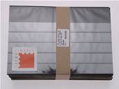 100 cartes d'envoi 210 x 148 mm à 5 bandes rhodoid et rabat C48 7030