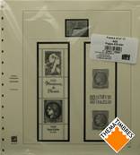 Feuilles France 2025 1er semestre SAFE DUAL 2137-251