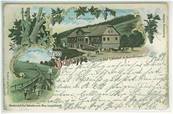100 etuis souples neutres pour CPA Cartes postales anciennes ID 1740 9248